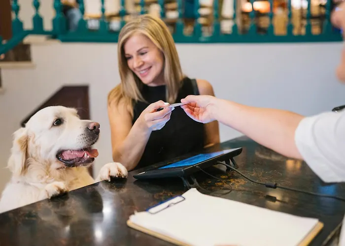 Hotel San Miguel Gijón